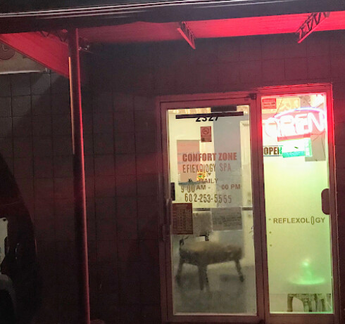Store Image