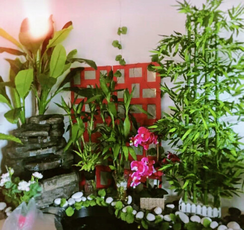 Store Image